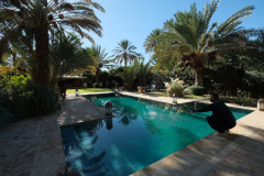 dar-hnini-pool-outside-sunshine