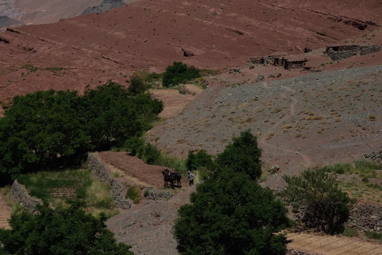 Mgoun peak and Tessaoute valley