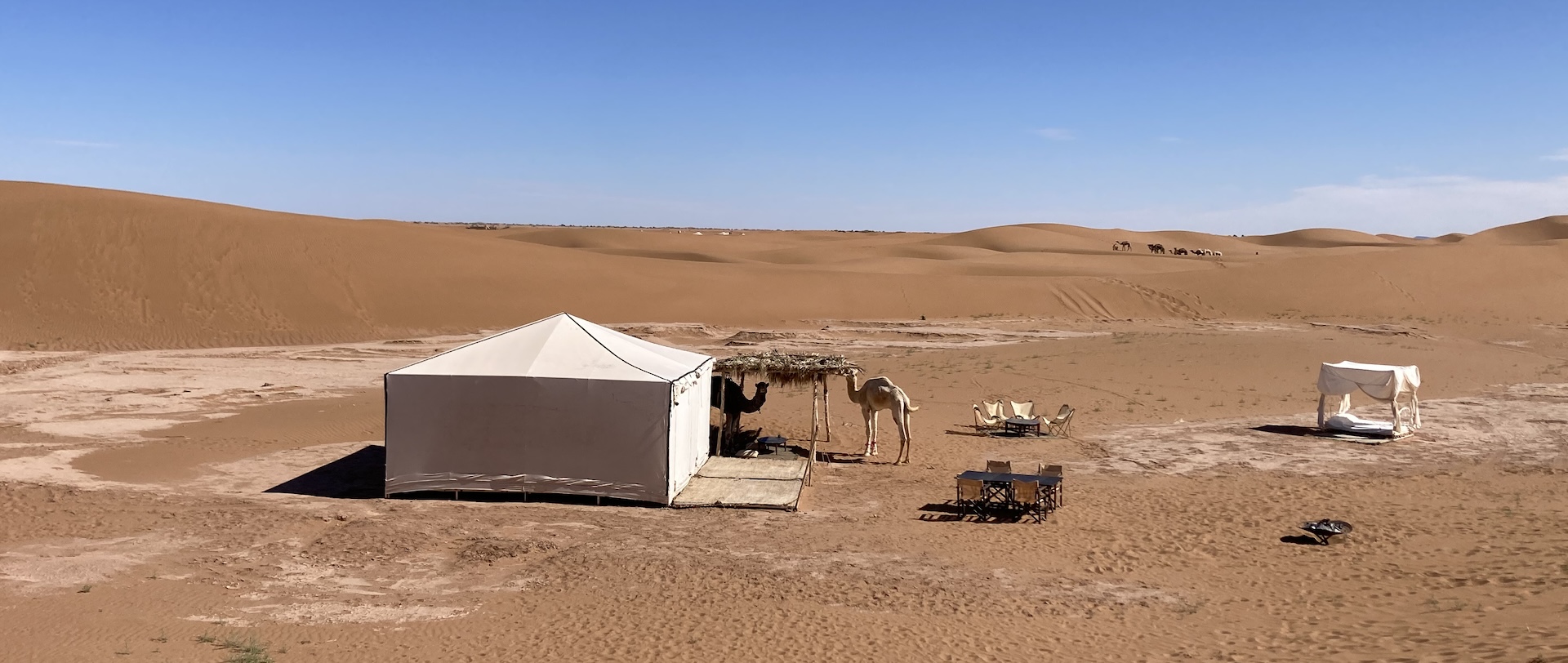 luxury desert camp in erg chigaga dunes november 2024